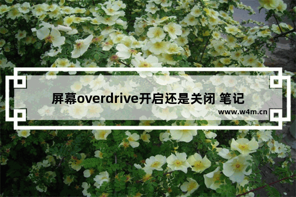 屏幕overdrive开启还是关闭 笔记本overdrive对外接显示器有没有用