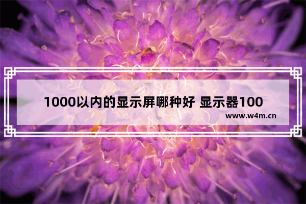 1000以内的显示屏哪种好 显示器1000以内