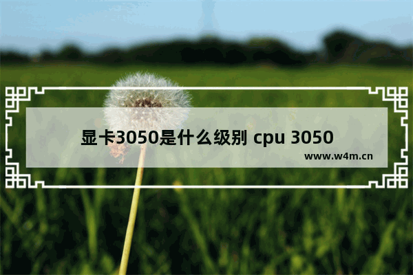 显卡3050是什么级别 cpu 3050