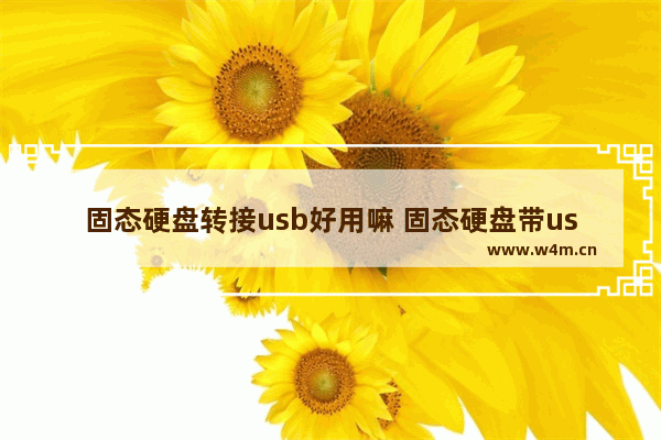 固态硬盘转接usb好用嘛 固态硬盘带usb接口