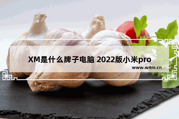 XM是什么牌子电脑 2022版小米pro14和redmibook14的区别