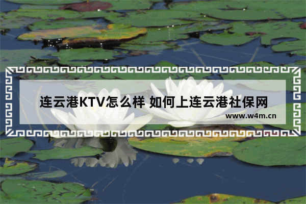 连云港KTV怎么样 如何上连云港社保网