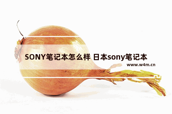 SONY笔记本怎么样 日本sony笔记本电脑