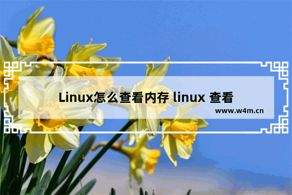 Linux怎么查看内存 linux 查看cpu 内存