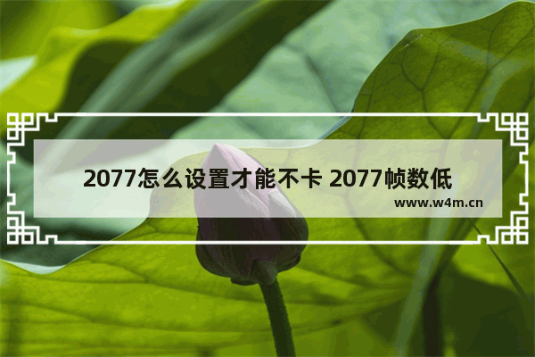 2077怎么设置才能不卡 2077帧数低怎么办