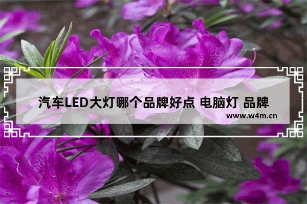 汽车LED大灯哪个品牌好点 电脑灯 品牌排行