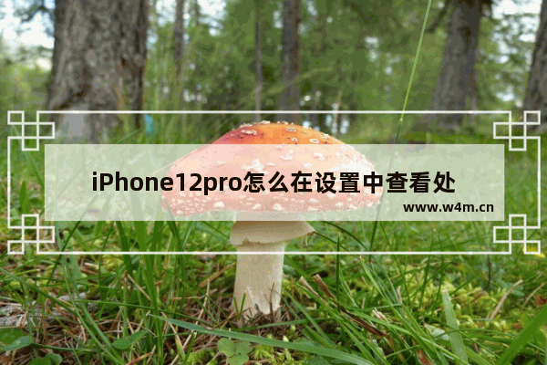 iPhone12pro怎么在设置中查看处理器 怎样查看小米手机CPU的型号