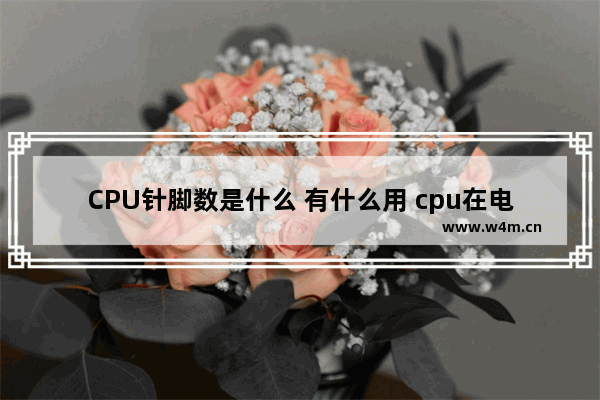 CPU针脚数是什么 有什么用 cpu在电路板中一个脚如何翘起