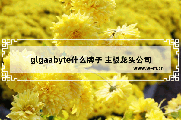 glgaabyte什么牌子 主板龙头公司排名