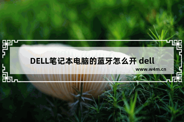 DELL笔记本电脑的蓝牙怎么开 dell笔记本电脑蓝牙