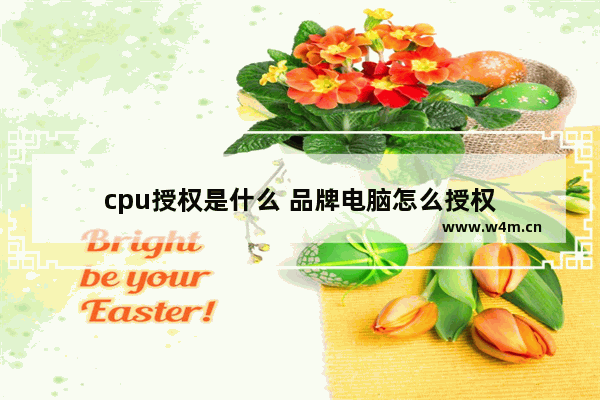 cpu授权是什么 品牌电脑怎么授权