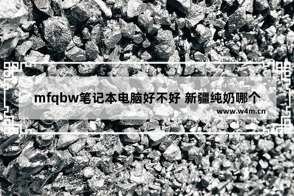 mfqbw笔记本电脑好不好 新疆纯奶哪个牌子好