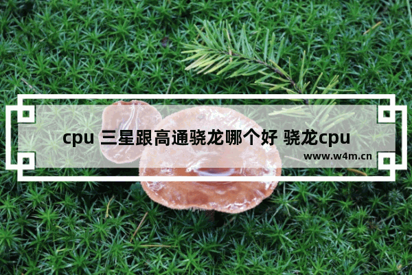 cpu 三星跟高通骁龙哪个好 骁龙cpu哪个好