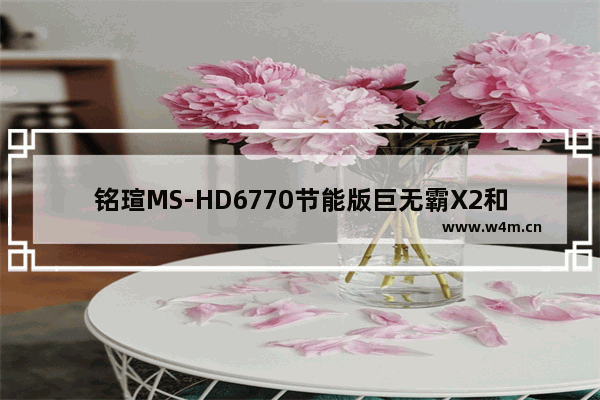 铭瑄MS-HD6770节能版巨无霸X2和GT620显卡那个好点 石墨烯显卡