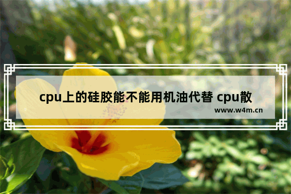 cpu上的硅胶能不能用机油代替 cpu散热 代替