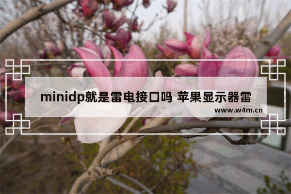 minidp就是雷电接口吗 苹果显示器雷电