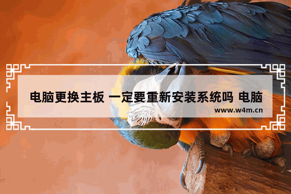 电脑更换主板 一定要重新安装系统吗 电脑机箱 主板 处理器 内存 显卡 显示器等 都是通用的吗