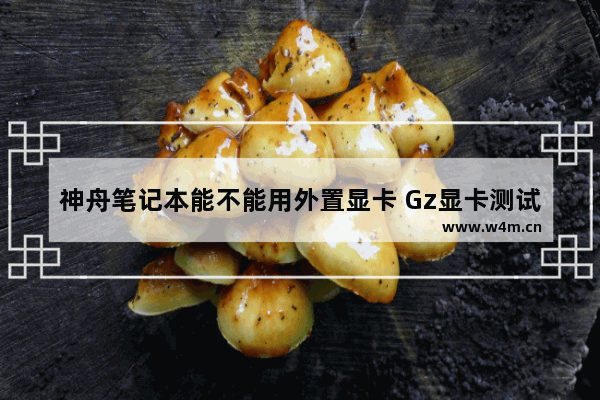 神舟笔记本能不能用外置显卡 Gz显卡测试