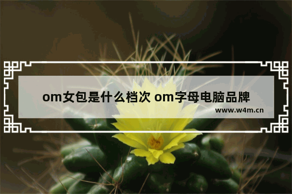 om女包是什么档次 om字母电脑品牌