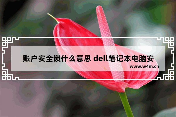 账户安全锁什么意思 dell笔记本电脑安全锁