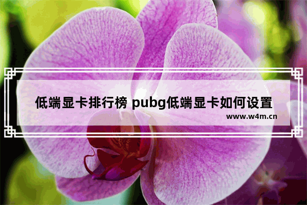 低端显卡排行榜 pubg低端显卡如何设置