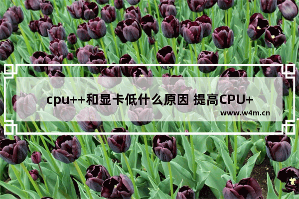 cpu++和显卡低什么原因 提高CPU++