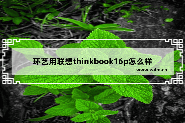 环艺用联想thinkbook16p怎么样 环艺笔记本电脑推荐