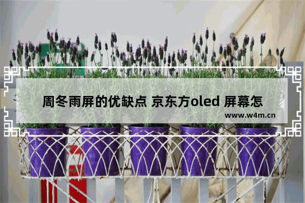 周冬雨屏的优缺点 京东方oled 屏幕怎么样