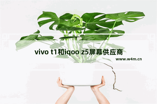 vivo t1和iqoo z5屏幕供应商 进口电脑屏幕品牌