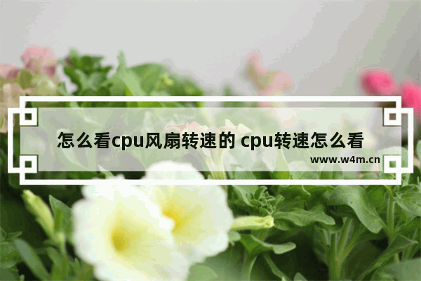 怎么看cpu风扇转速的 cpu转速怎么看