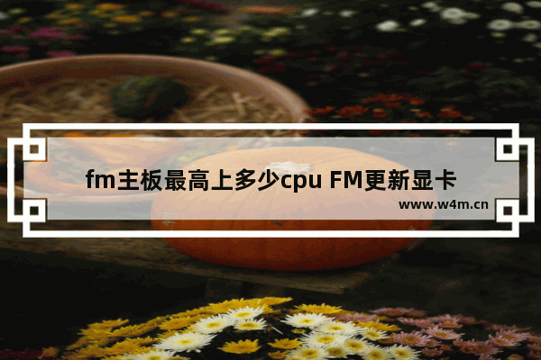 fm主板最高上多少cpu FM更新显卡