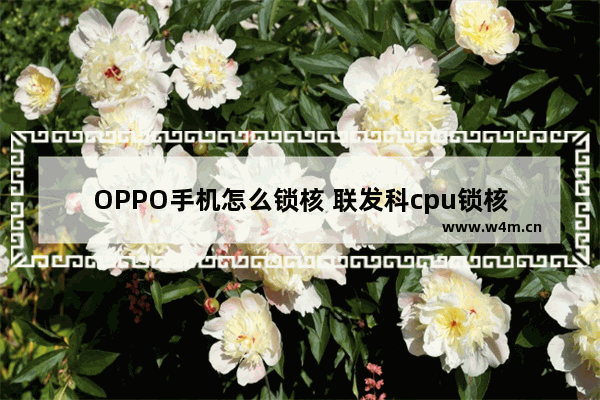 OPPO手机怎么锁核 联发科cpu锁核