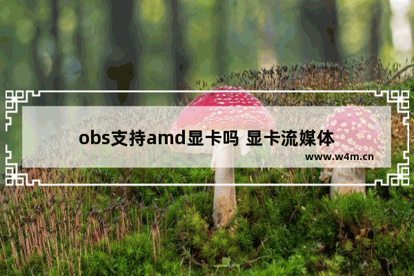 obs支持amd显卡吗 显卡流媒体