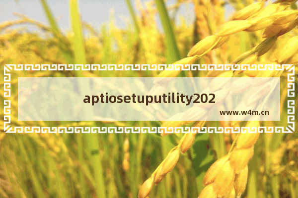 aptiosetuputility2021界面怎么正常开机 新主板怎么进电脑界面系统