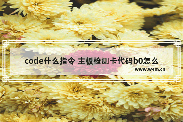 code什么指令 主板检测卡代码b0怎么解决