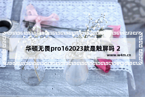 华硕无畏pro162023款是触屏吗 23寸显示器华硕