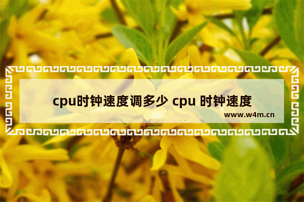 cpu时钟速度调多少 cpu 时钟速度