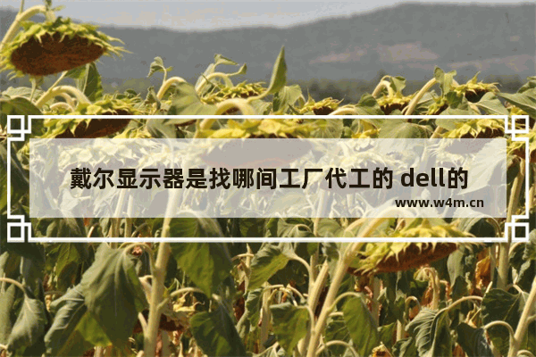 戴尔显示器是找哪间工厂代工的 dell的显示器代工