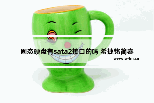 固态硬盘有sata2接口的吗 希捷铭简睿翼区别