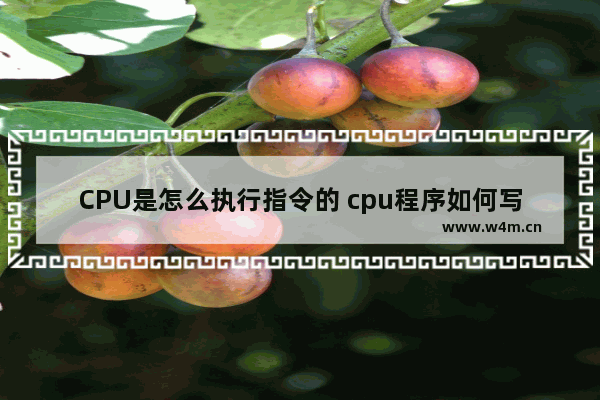 CPU是怎么执行指令的 cpu程序如何写进cpu