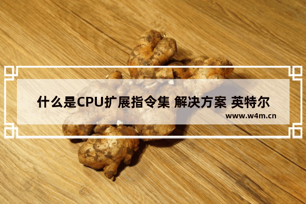 什么是CPU扩展指令集 解决方案 英特尔处理器E系列的好还是G系列的好