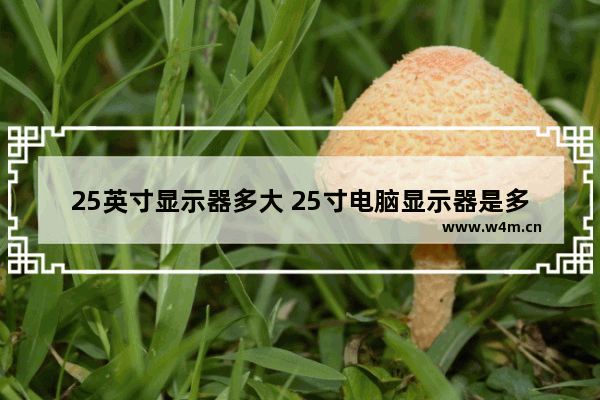 25英寸显示器多大 25寸电脑显示器是多少厘米