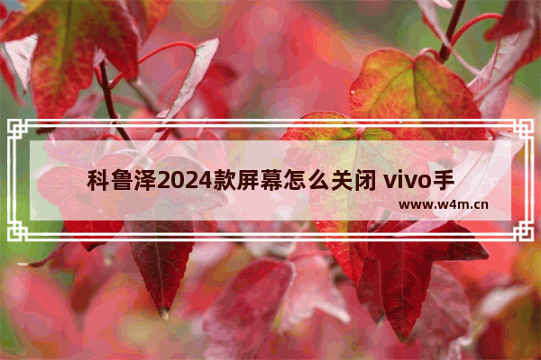 科鲁泽2024款屏幕怎么关闭 vivo手机如何关闭自动调节亮度功能