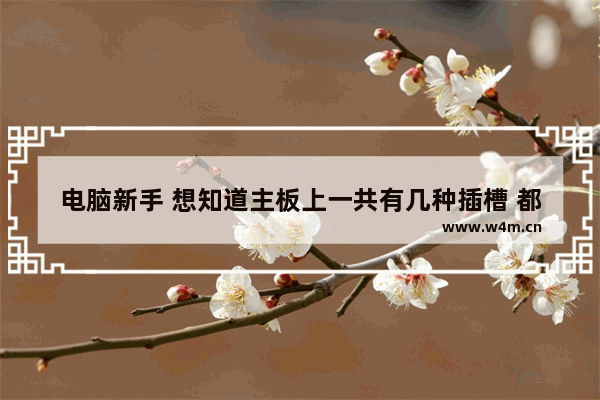 电脑新手 想知道主板上一共有几种插槽 都是用来插什么卡的 如何区分它们 电脑上哪个是主板信息接口