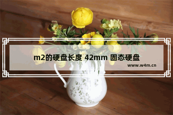 m2的硬盘长度 42mm 固态硬盘