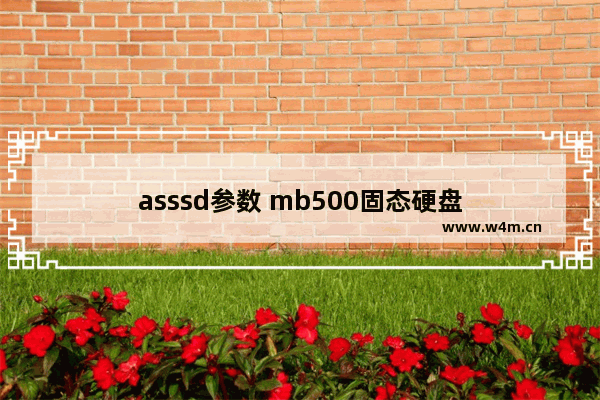 asssd参数 mb500固态硬盘