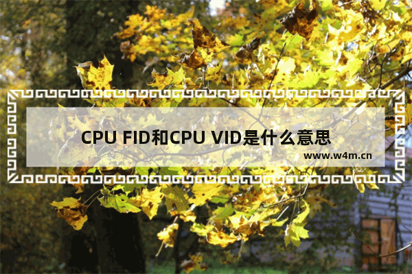 CPU FID和CPU VID是什么意思 显卡上面碳