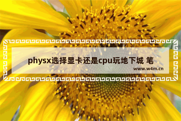 physx选择显卡还是cpu玩地下城 笔记本电脑physx怎么设置好