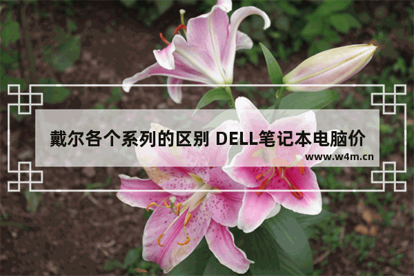 戴尔各个系列的区别 DELL笔记本电脑价格策略