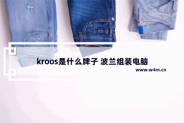 kroos是什么牌子 波兰组装电脑